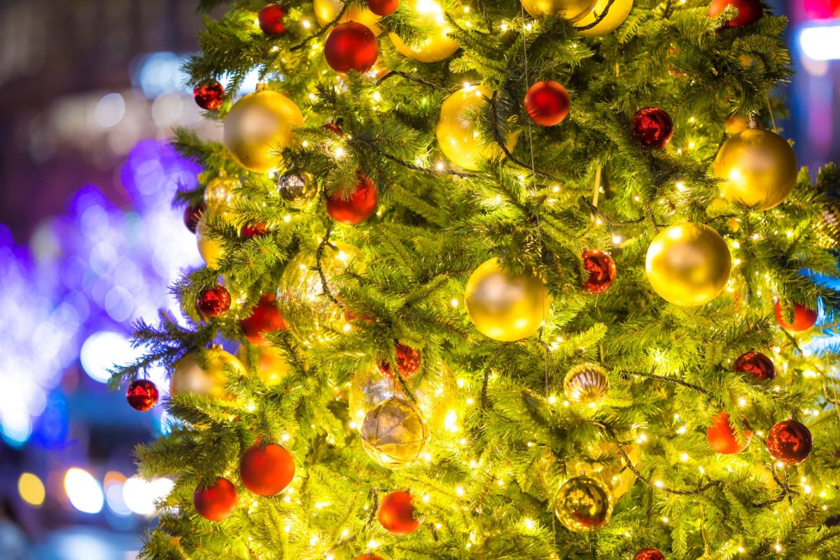 出水,クリスマス,チキン