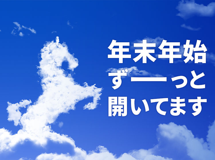 出水,年末年始,ひばりとあきら