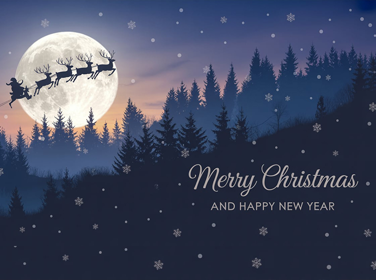 出水,クリスマス,チキン